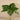 Flowers-Artificial Canna Leaf Arrangement in Glass Vase-Bloomr