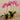 Flowers-Artificial Orchid Arrangement-Bloomr