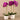 Flowers-Artificial Orchid Arrangement-Bloomr