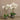 Flowers-Artificial Orchid Arrangement-Bloomr