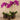 Flowers-Artificial Orchid Arrangement-Bloomr