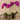 Flowers-Artificial Orchid Arrangement-Bloomr