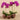 Flowers-Artificial Orchid Arrangement-Bloomr