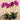 Flowers-Artificial Orchid Arrangement-Bloomr