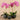 Flowers-Artificial Orchid Arrangement-Bloomr