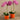 Flowers-Artificial Orchid Arrangement-Bloomr