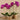 Flowers-Artificial Orchid Arrangement-Bloomr