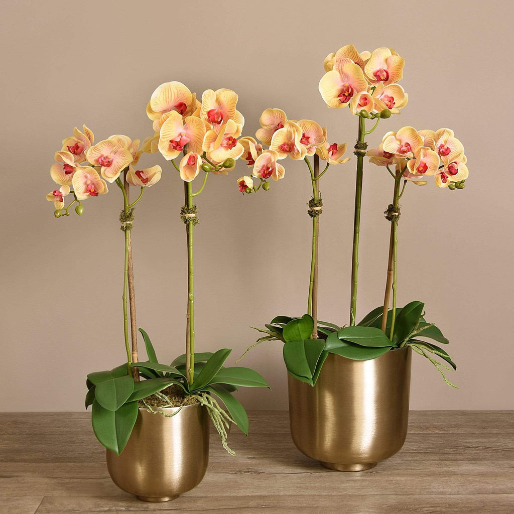 Artificial Orchid Arrangement - Bloomr