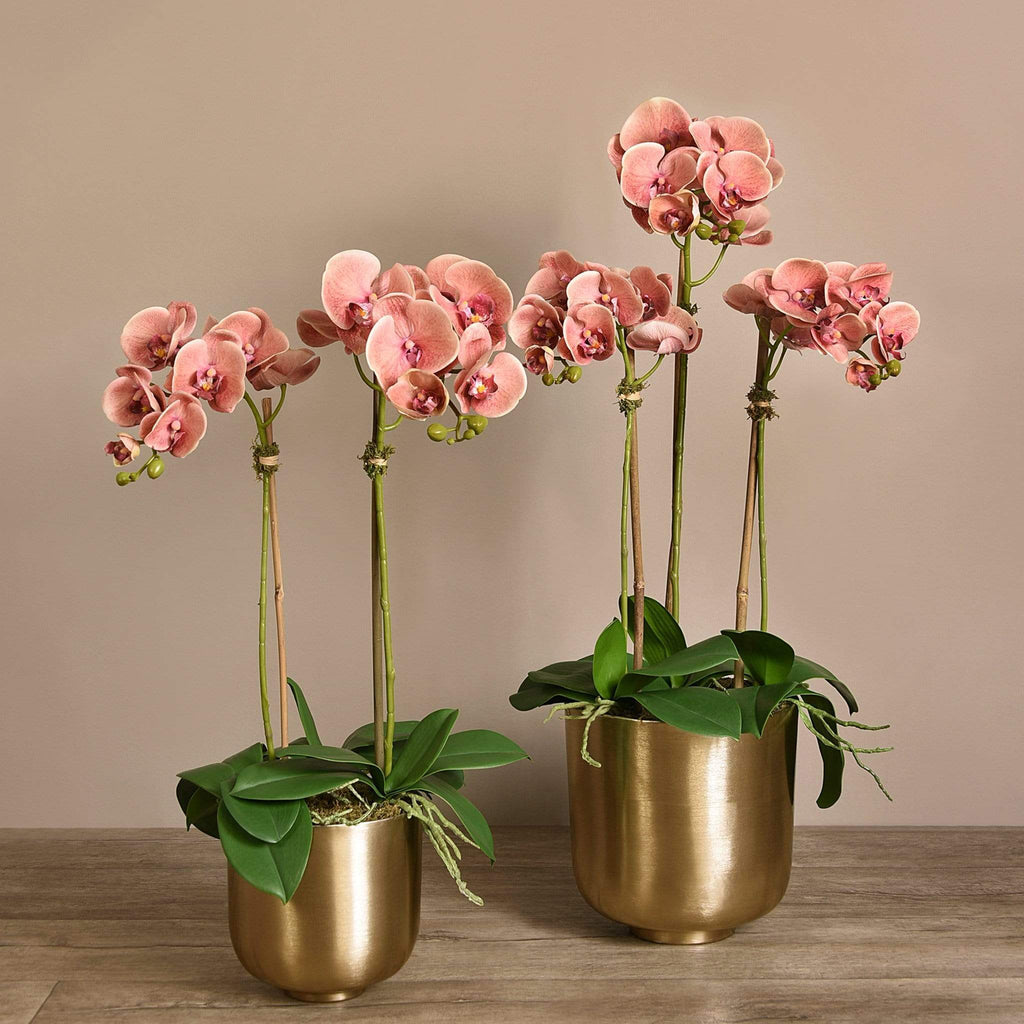 Artificial Orchid Arrangement - Bloomr