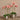 Flowers-Artificial Orchid Arrangement-Bloomr