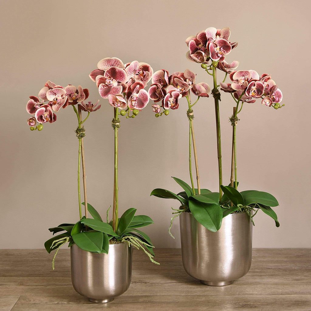 Artificial Orchid Arrangement - Bloomr