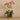 Flowers-Artificial Orchid Arrangement-Bloomr