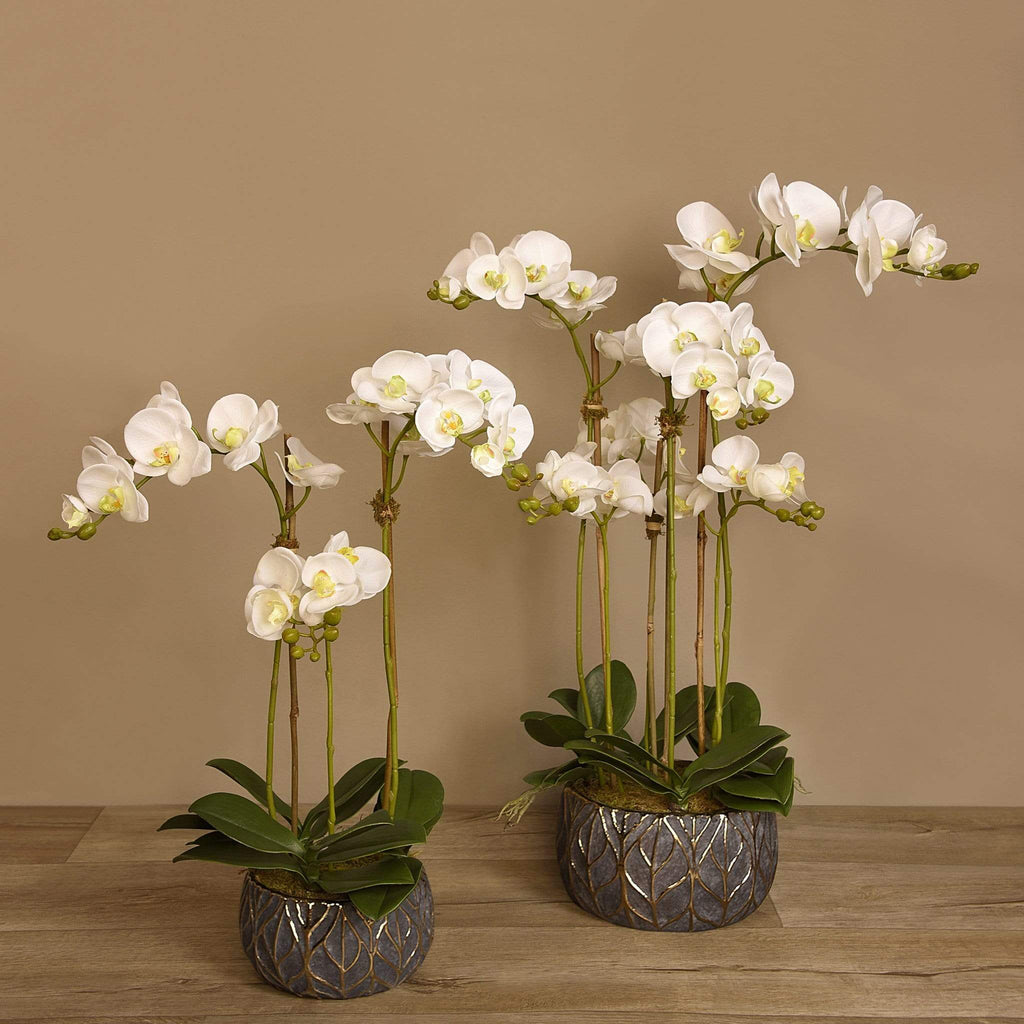 Artificial Orchid Arrangement - Bloomr