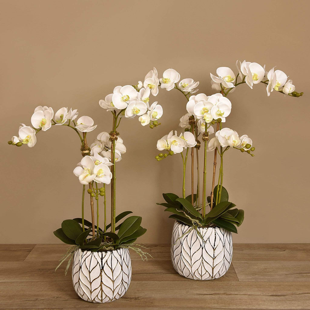 Artificial Orchid Arrangement - Bloomr