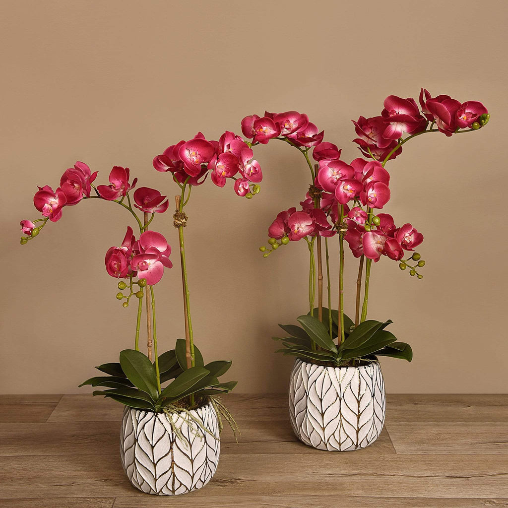 Artificial Orchid Arrangement - Bloomr