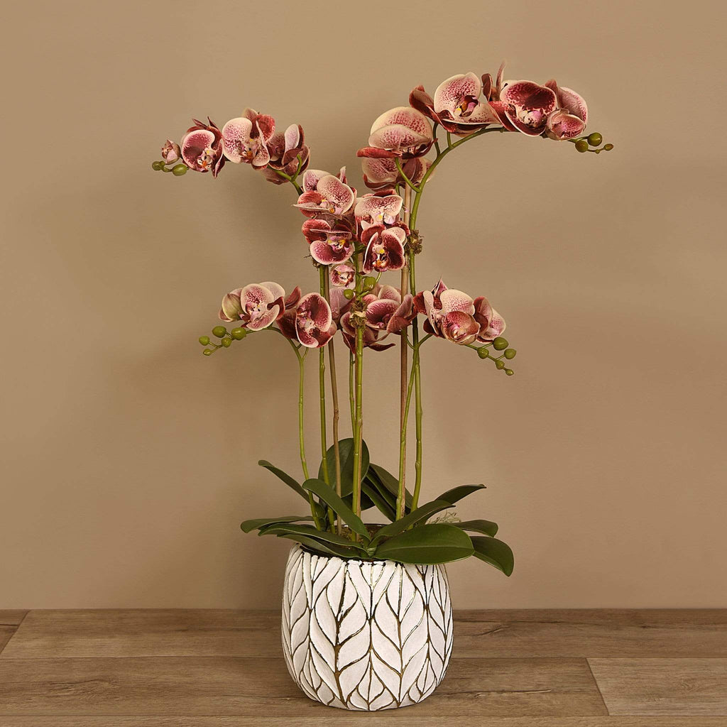 Artificial Orchid Arrangement - Bloomr