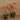 Flowers-Artificial Orchid Arrangement-Bloomr