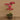Flowers-Artificial Orchid Arrangement-Bloomr