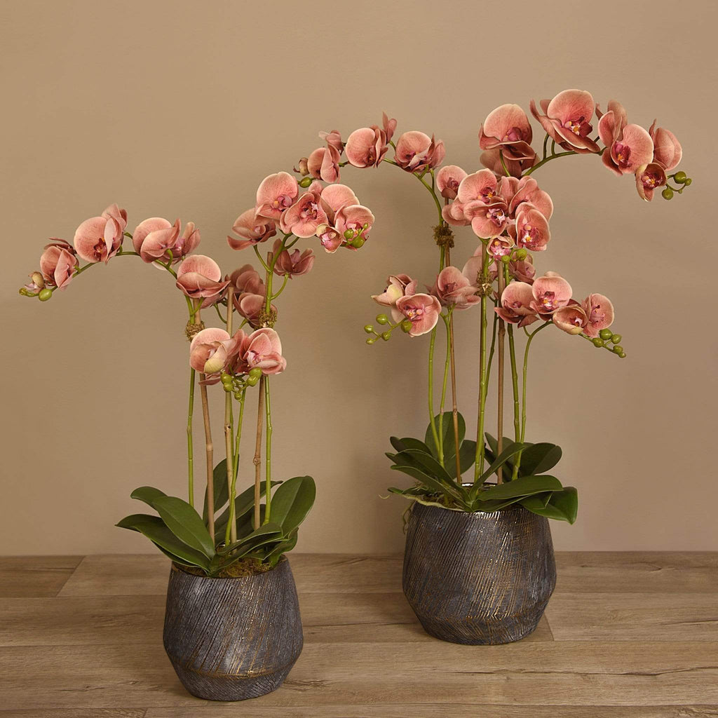 Artificial Orchid Arrangement - Bloomr