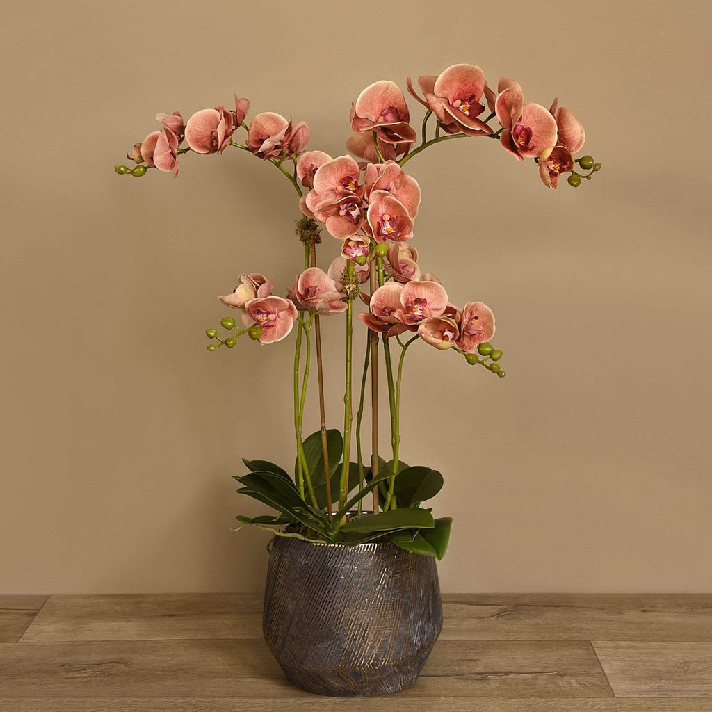 Artificial Orchid Arrangement - Bloomr