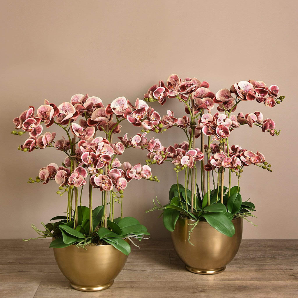 Artificial Orchid Arrangement - Bloomr