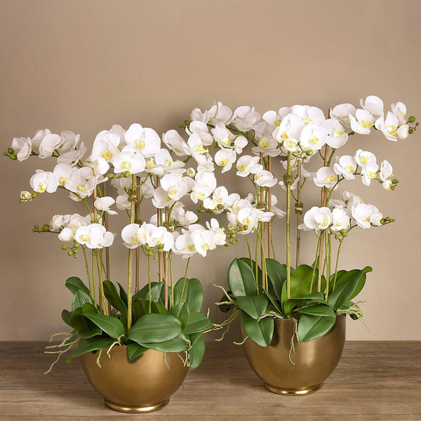 Artificial Orchid Arrangement - Bloomr