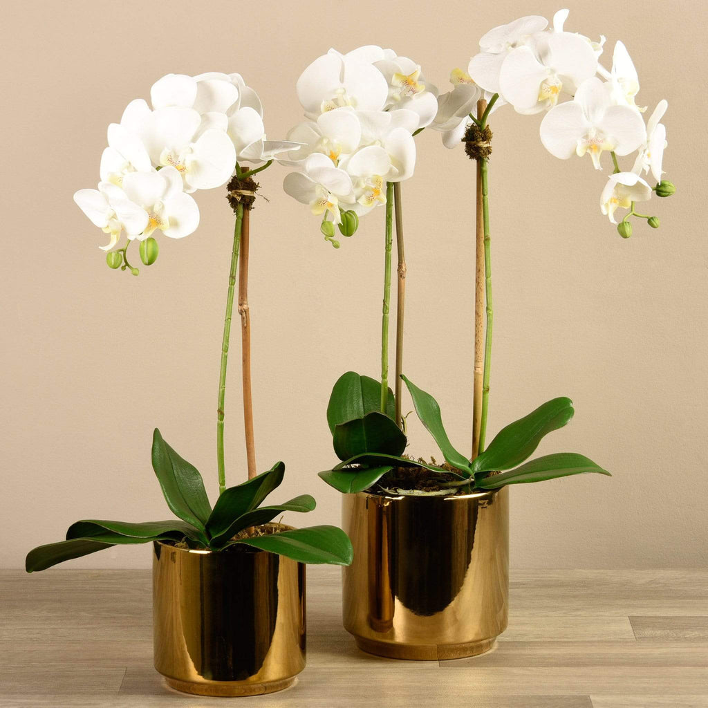 Artificial Orchid Arrangement - Bloomr