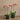 Flowers-Artificial Orchid Arrangement-Bloomr