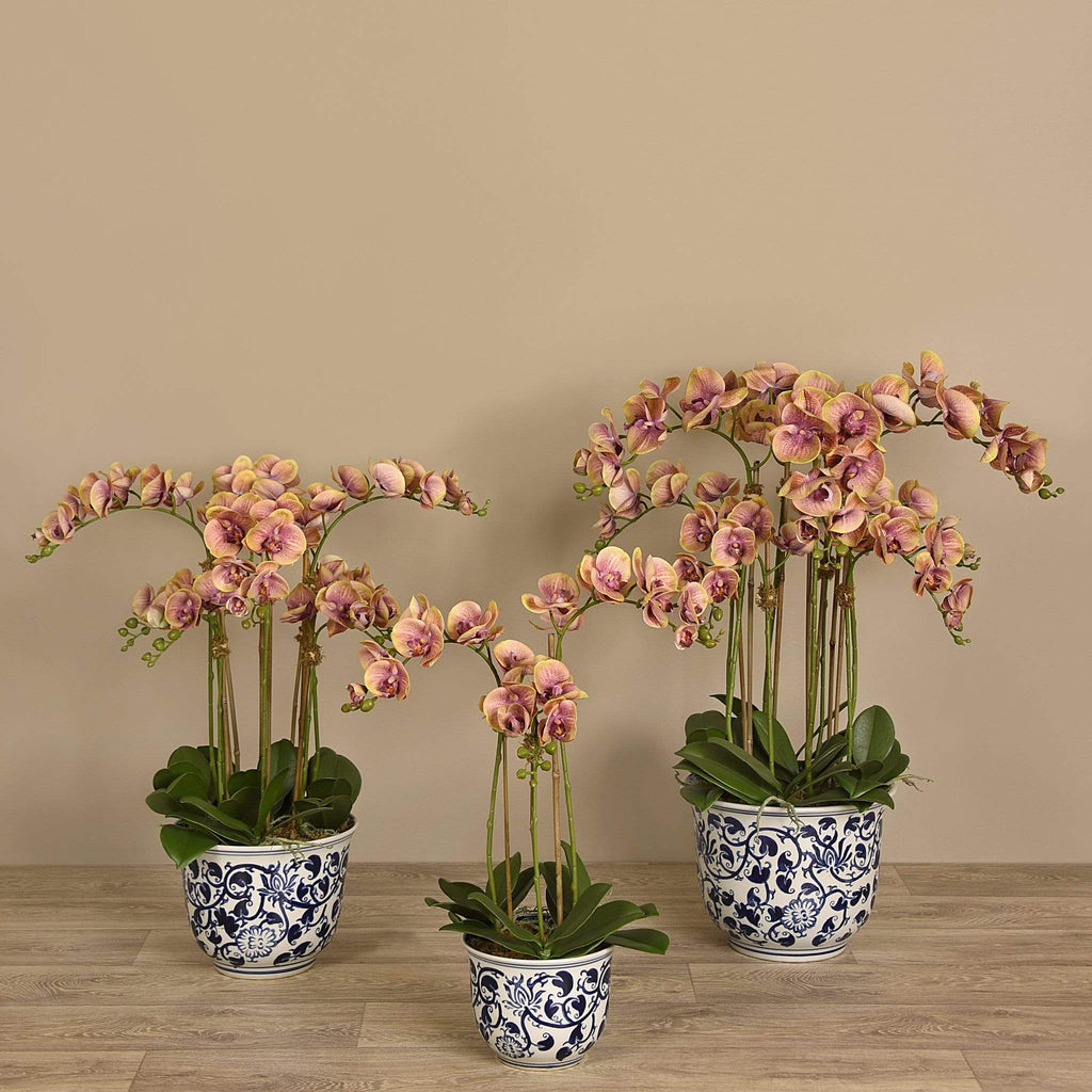 Artificial Orchid Arrangement - Bloomr