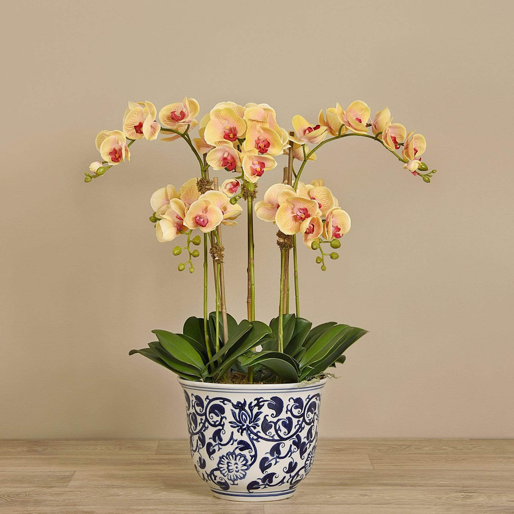 Artificial Orchid Arrangement - Bloomr