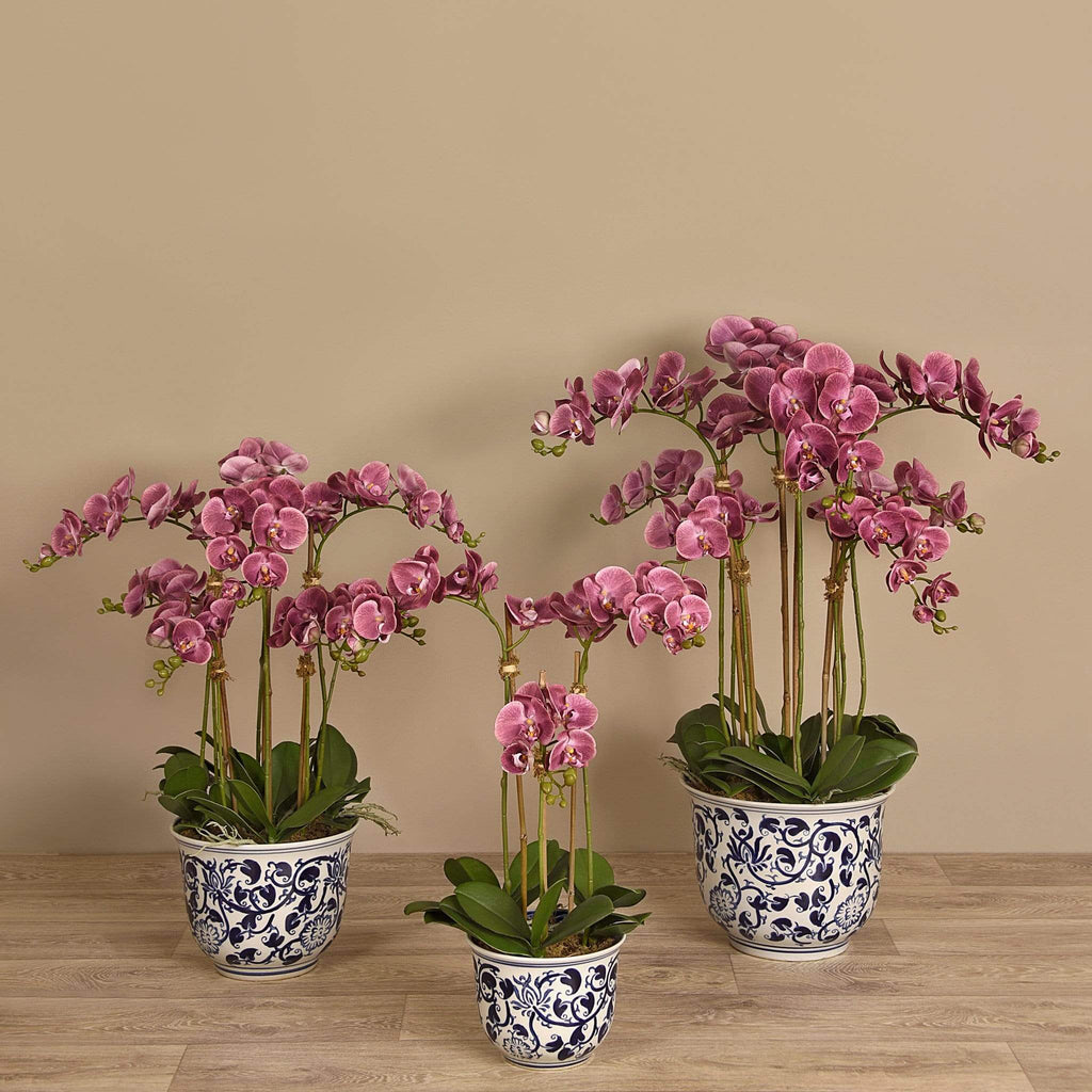 Artificial Orchid Arrangement - Bloomr