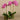 Flowers-Artificial Orchid Arrangement-Bloomr