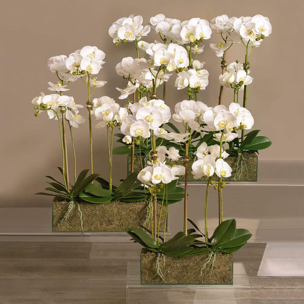 Artificial Orchid Arrangement in Glass Vase - Bloomr