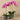 Flowers-Artificial Orchid Arrangement-Bloomr