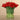 Floral Arrangement-Artificial Tulip in Glass Vase-Bloomr