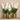 Flowers-Artificial Vanda Arrangement-Bloomr