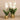 Flowers-Artificial Vanda Arrangement-Bloomr