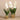 Flowers-Artificial Vanda Arrangement-Bloomr