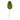 Flowers-Banana Leaf-Bloomr
