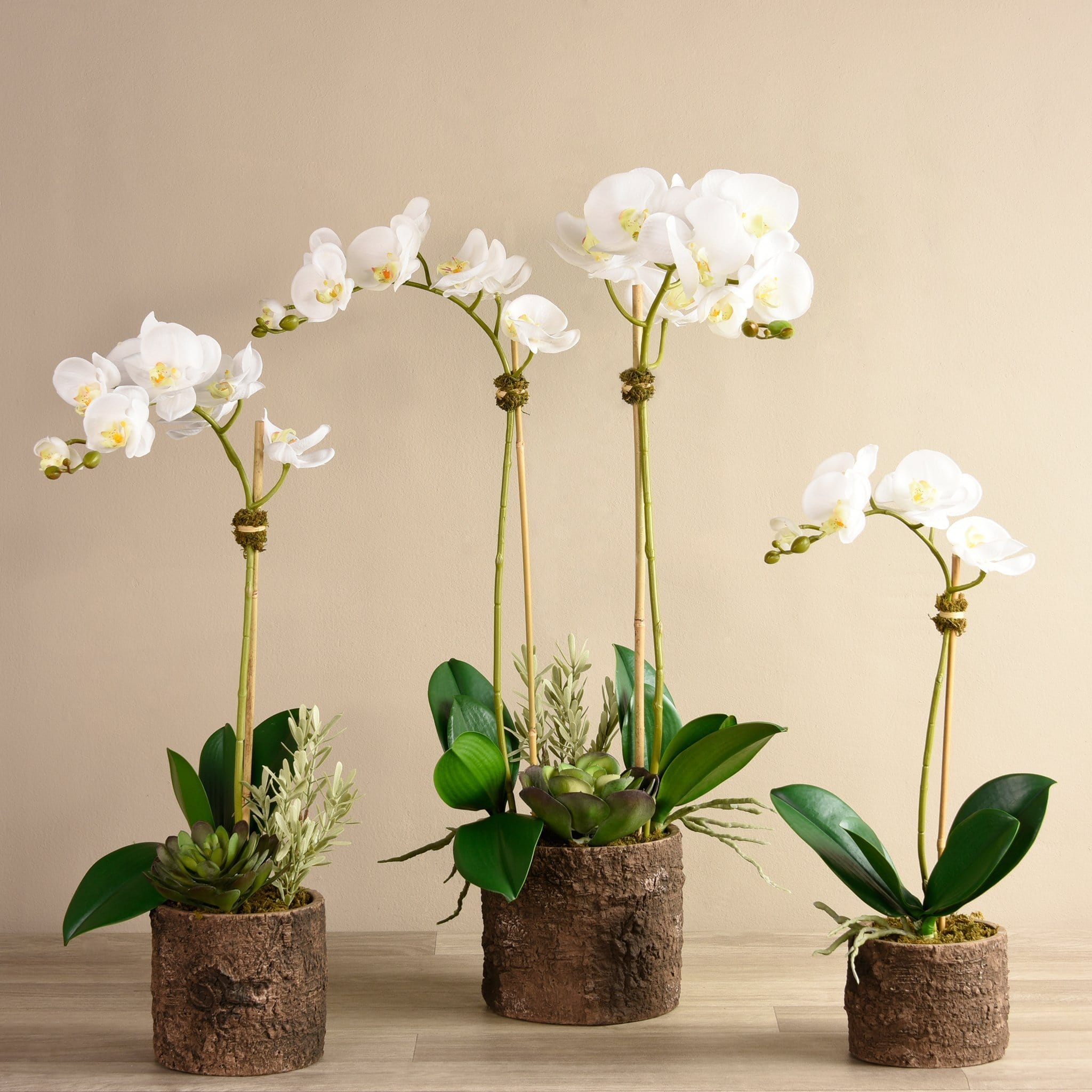 Big Sur Artificial Orchid Arrangement - Bloomr