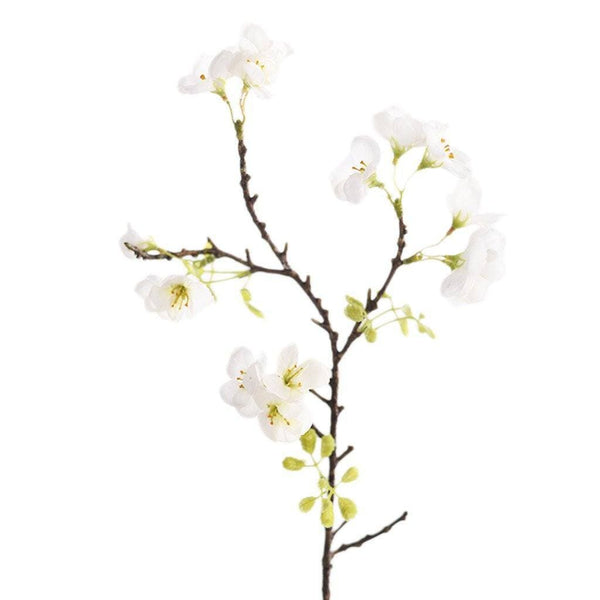 Cherry Blossom - Bloomr