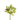 Flowers-Cymbidium-Bloomr