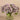 Floral Arrangement-Artificial Hydrangea in Glass Vase-Bloomr