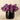 Floral Arrangement-Artificial Hybrid Arrangement in Black Vase-Bloomr