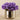 Floral Arrangement-Artificial Anemone in Silver Vase-Bloomr