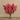 Flowers-Artificial Bougainvillea in Glass Vase-Bloomr