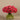 Floral Arrangement-Artificial Ranunculus in Glass Vase-Bloomr