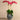 Flowers-Coastal Artificial Orchid Arrangement-Bloomr