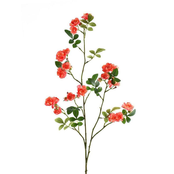 Garden Rose - Bloomr