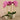 Flowers-Artificial Orchid Arrangement-Bloomr